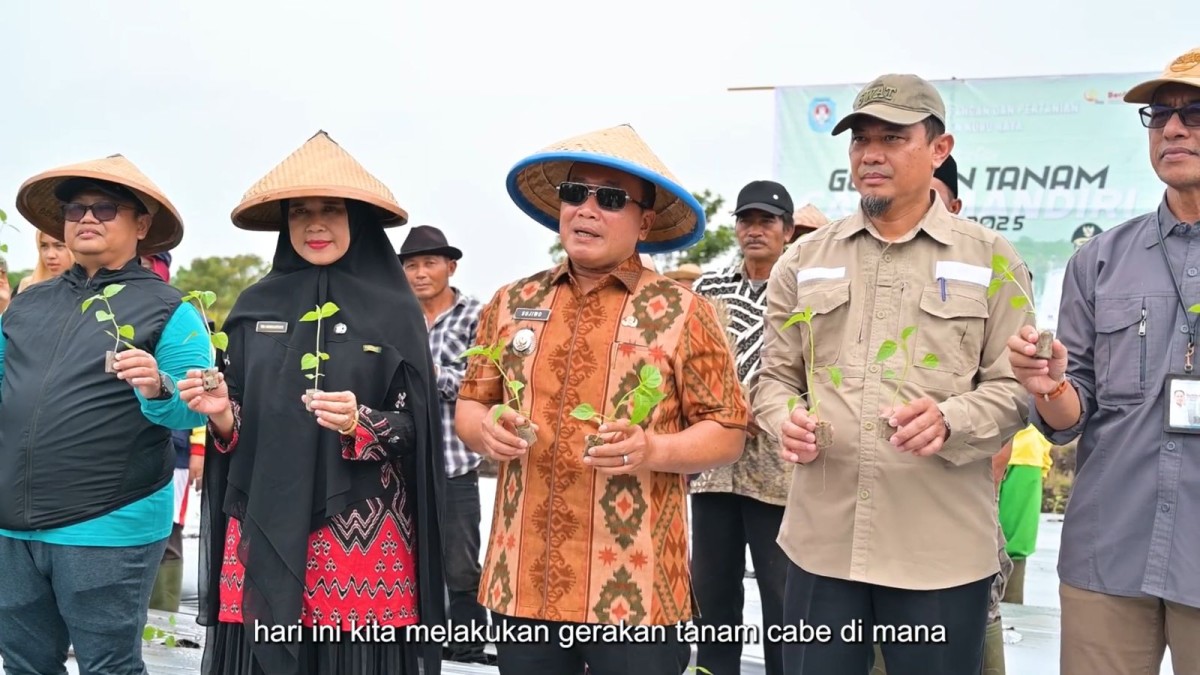 GERAKAN MENANAM CABAI KELOMPOK TANI KARANGKATES DI DESA SUNGAI RAYA DALAM